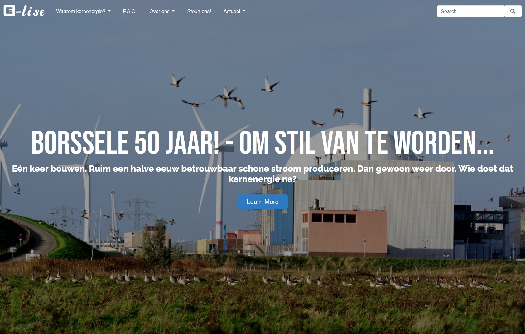 Screenshot website stichting e-Lise.jpg